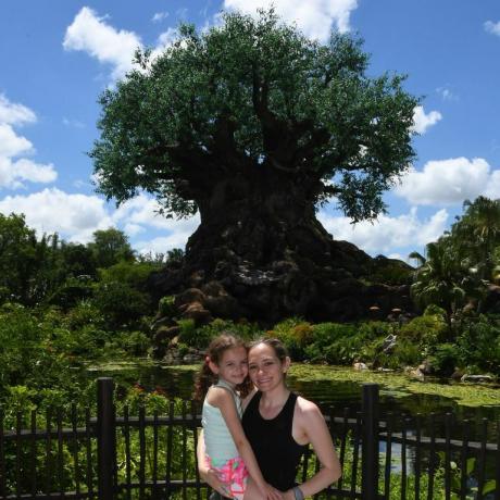 Disney photopass reino animal árvore da vida
